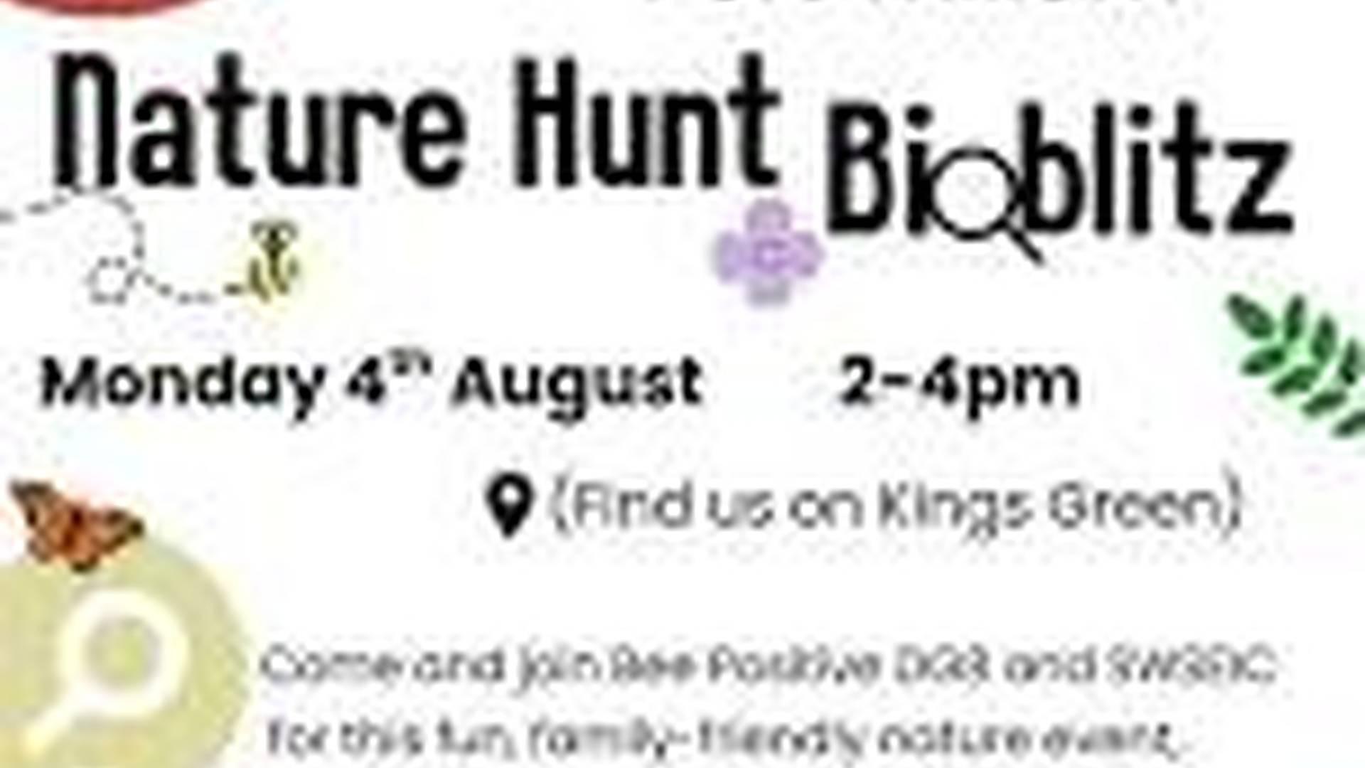 Nature Hunt/Bioblitz (Part of Port William Carnival Week) photo
