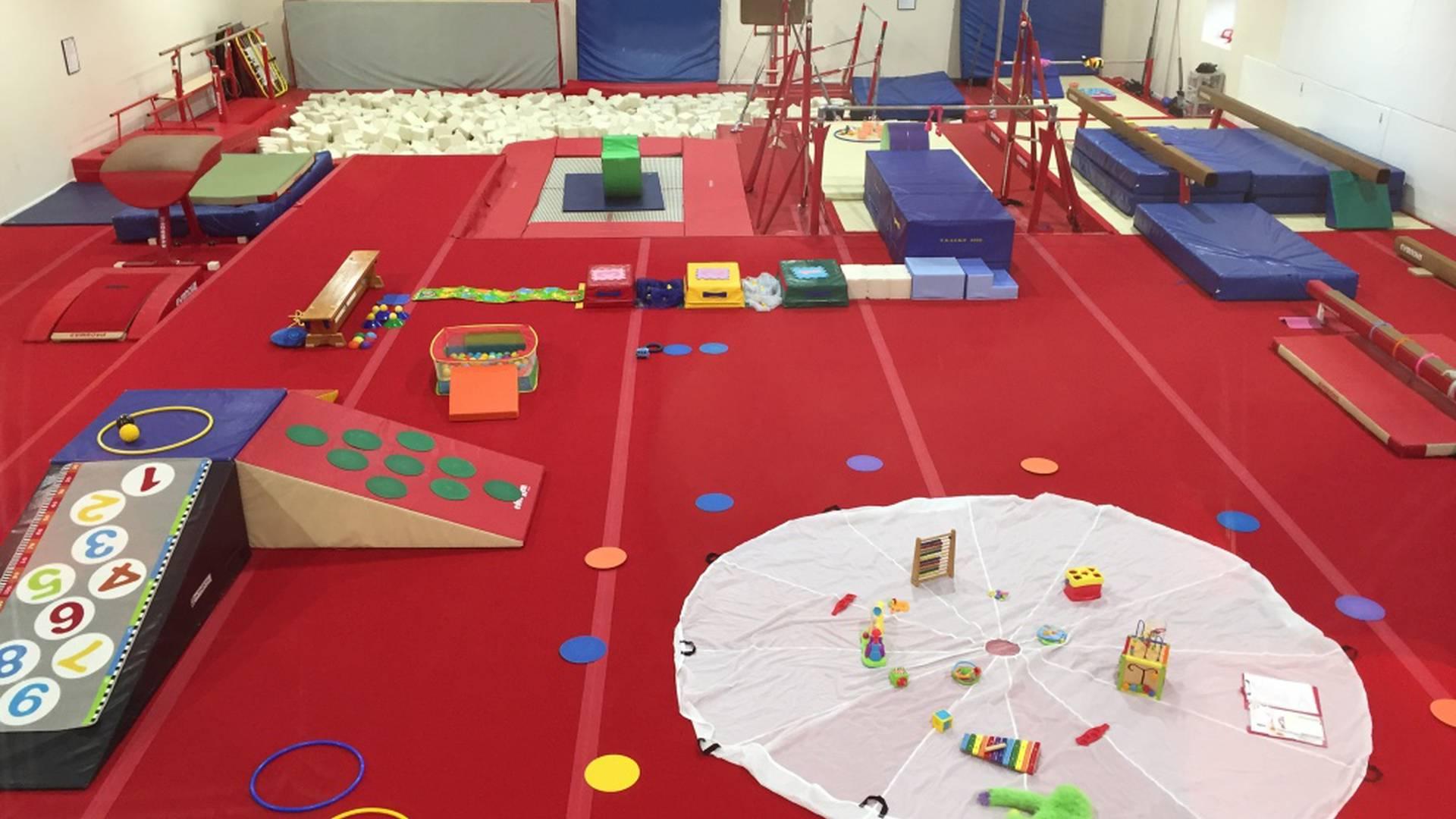 Cambridge Gymnastics Academy photo