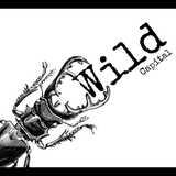 Wild Capital logo