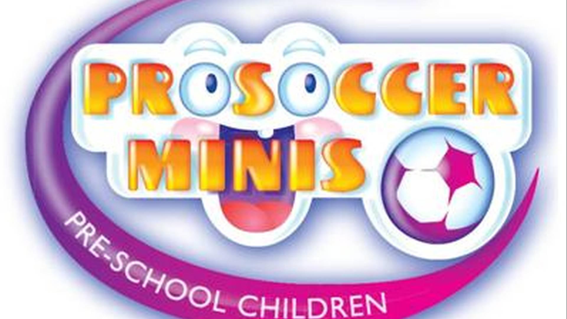 Pro-Soccer Minis photo