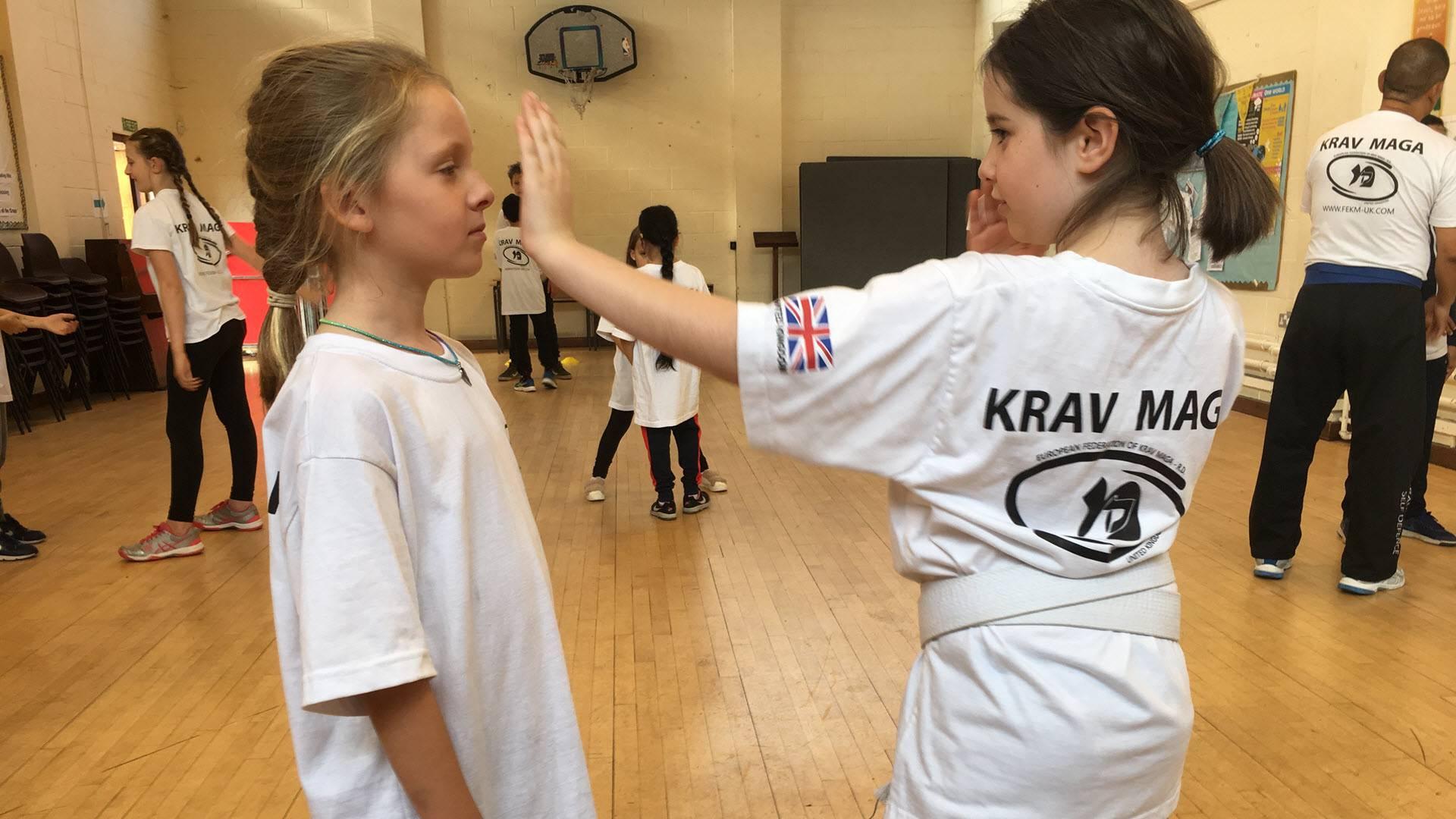 Krav Maga Self Defence photo