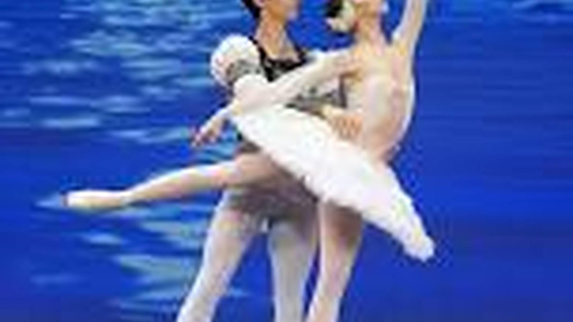 Swan Lake photo