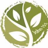 Branches Christian Fellowship logo