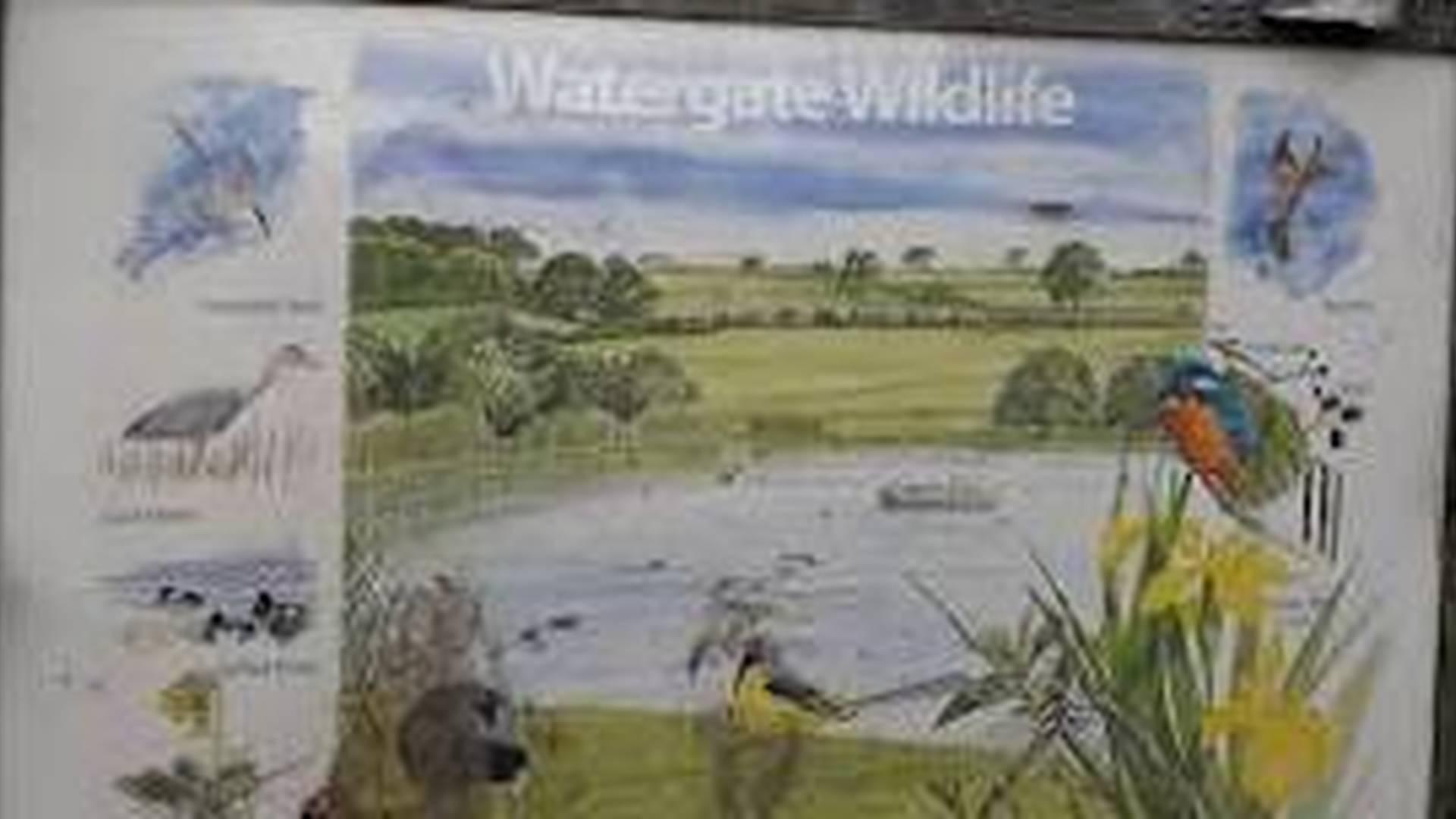Watergate Wildlife Club photo