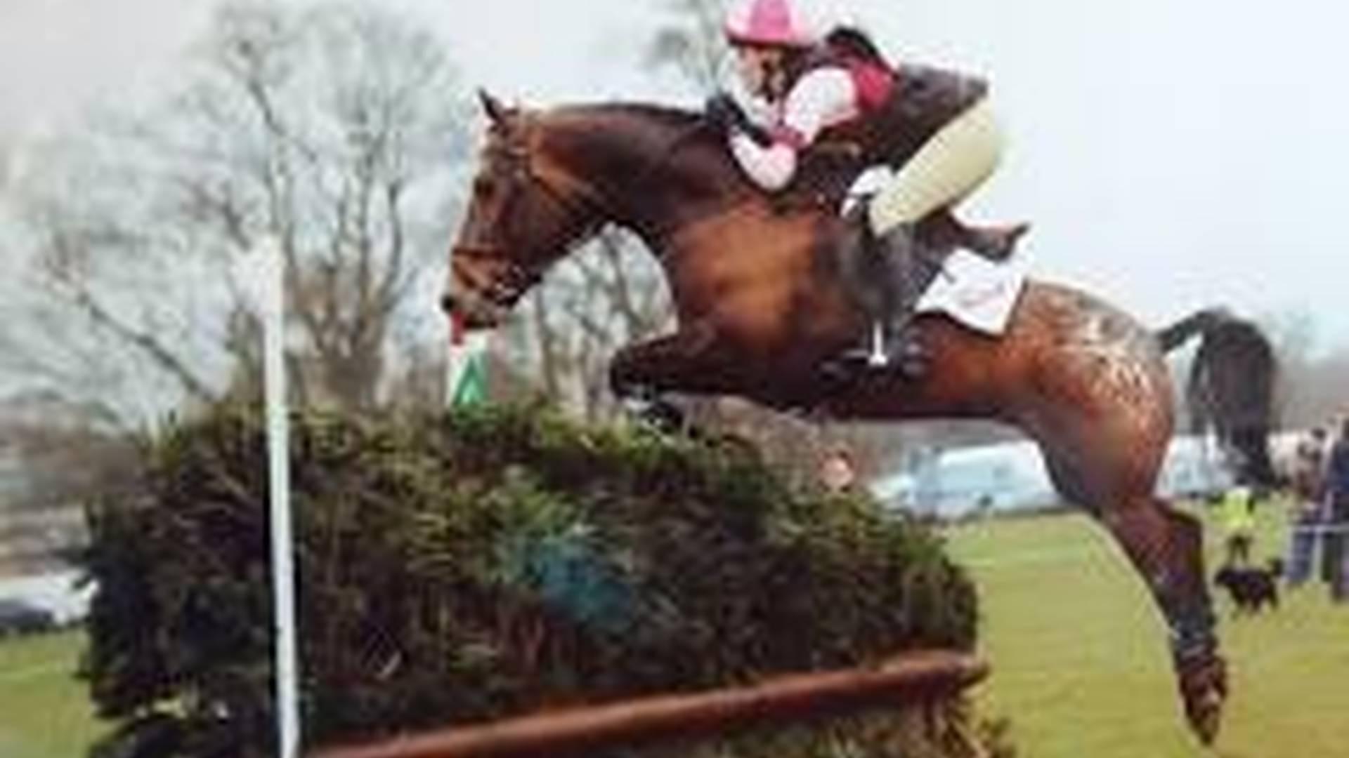 SJ technical lines and course riding @ Fleets Farm Equestrian photo