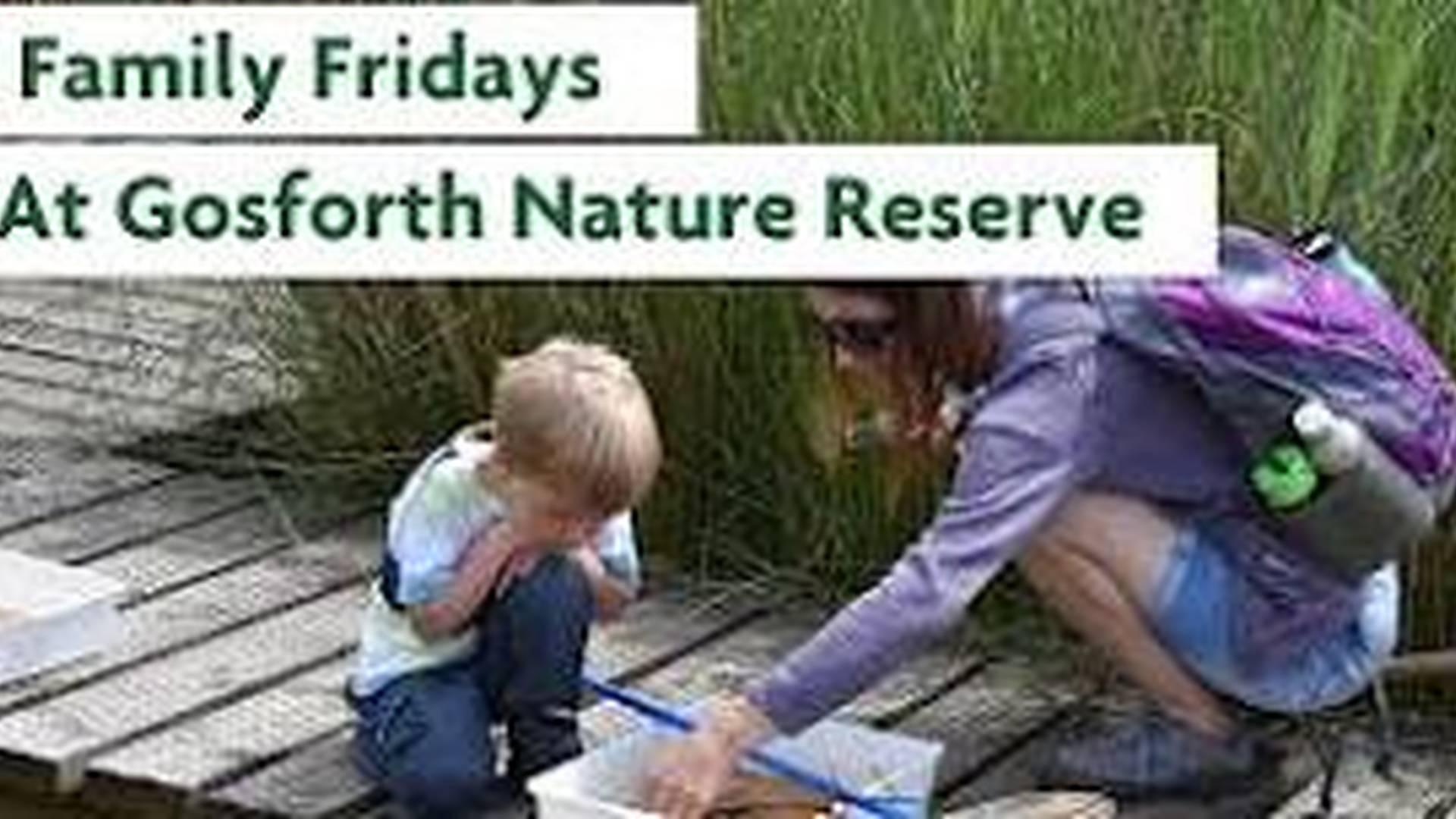 Family Fridays - Pond Dipping at Gosforth Nature Reserve photo