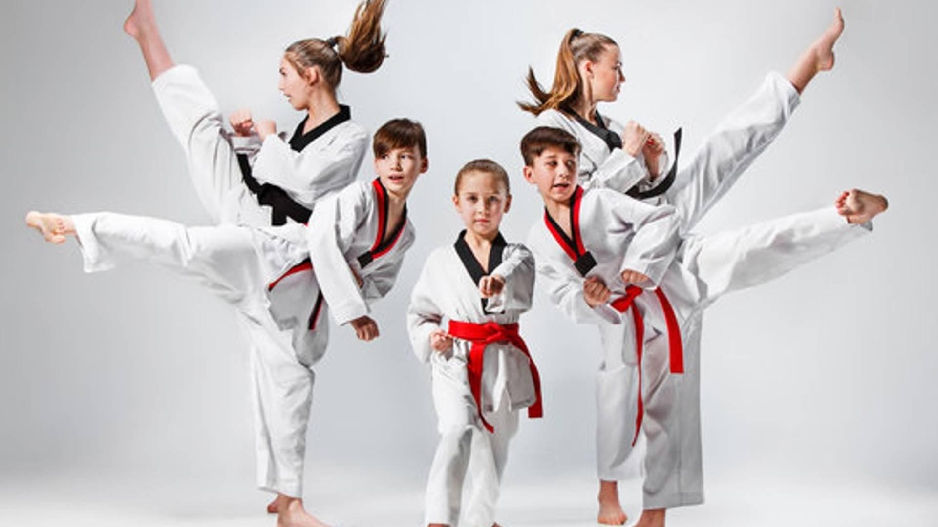 Pinner T.A.G.B Tae Kwon Do photo