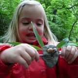Badgers Forest School Bristol logo