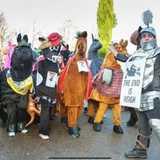 Activity image