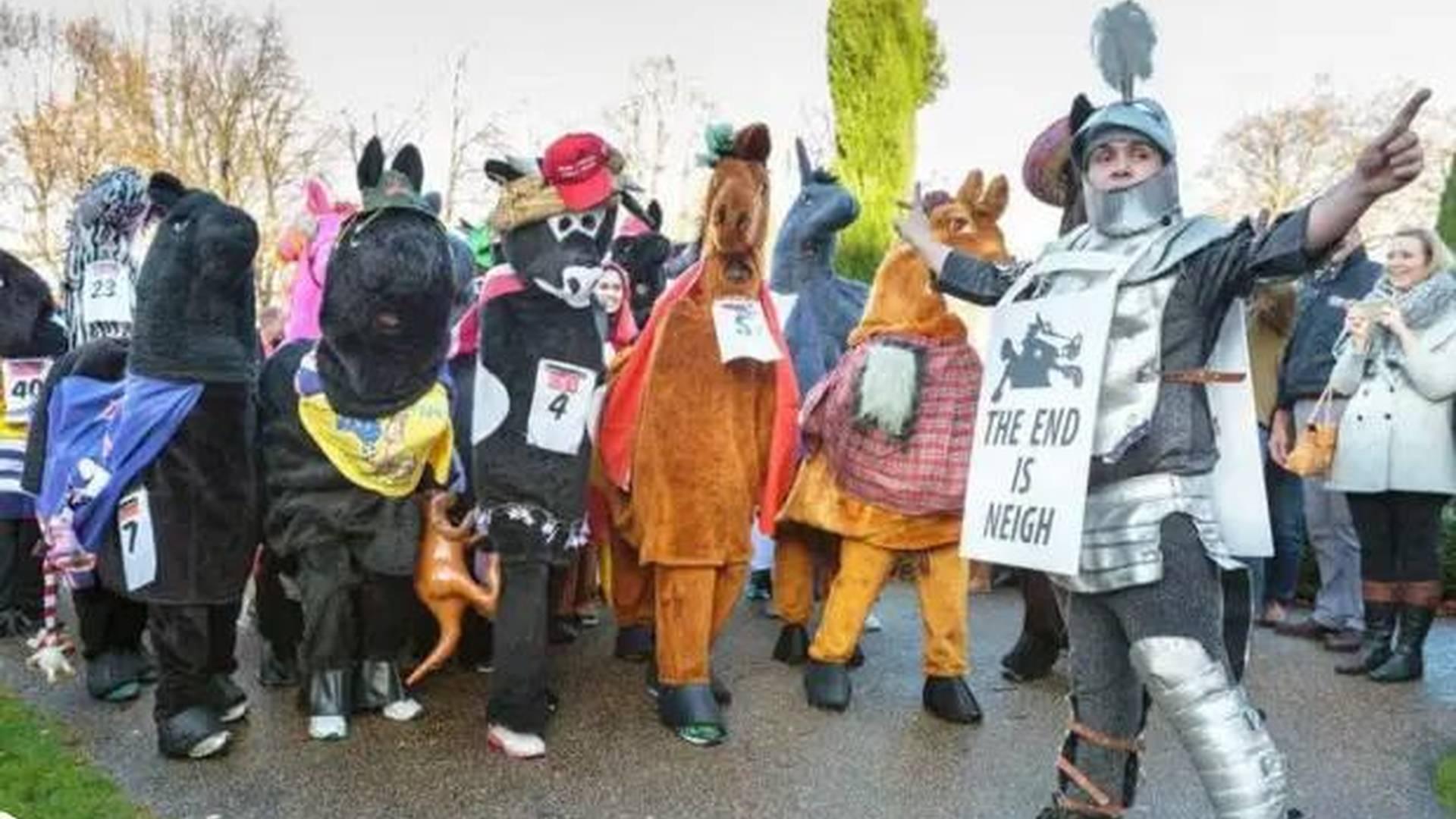 The 11th London Pantomime Horse Race - United Neightions Ii photo
