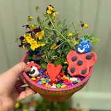 Activity image
