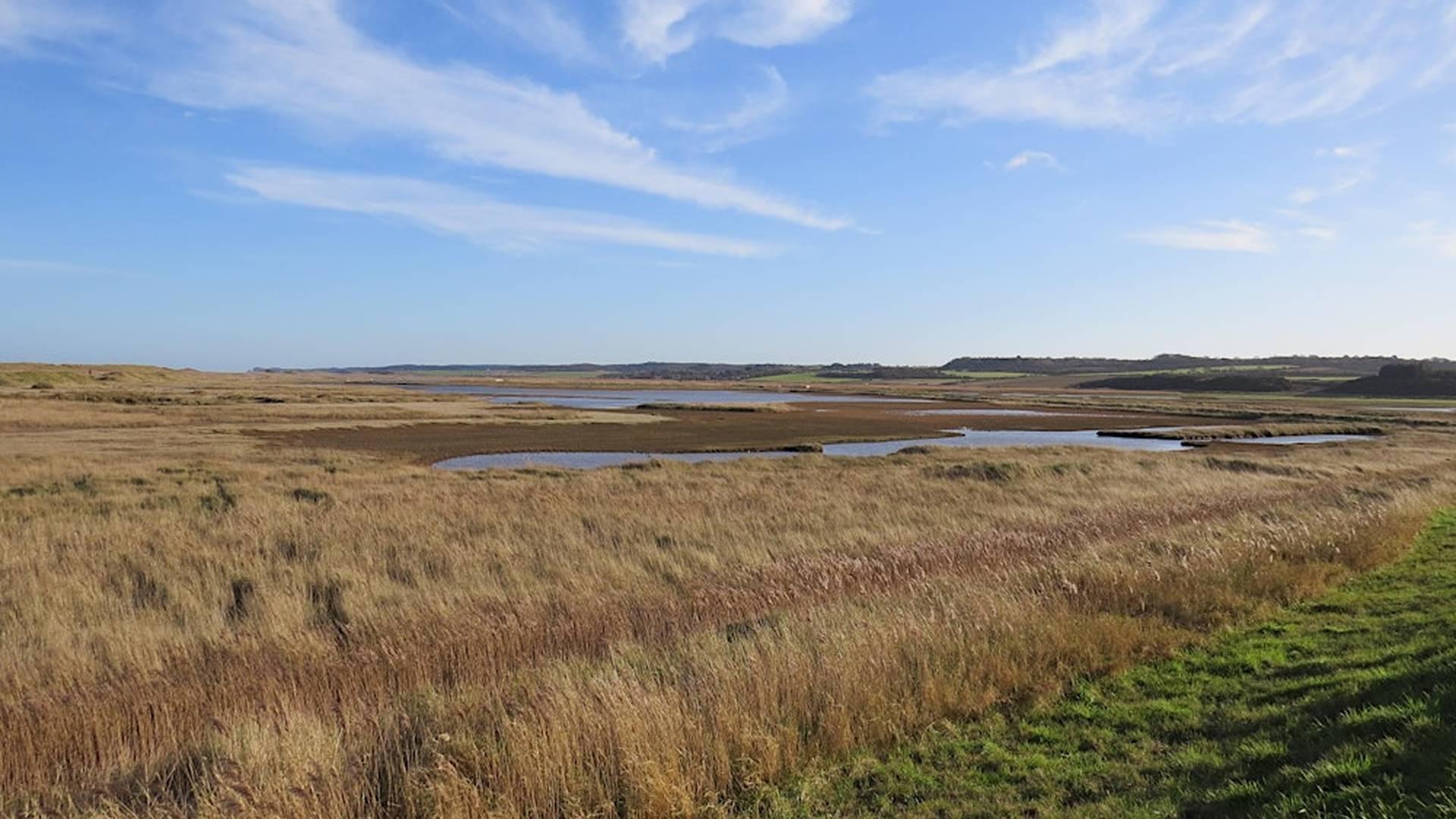 Leg-stretch to Salthouse (18 March) photo
