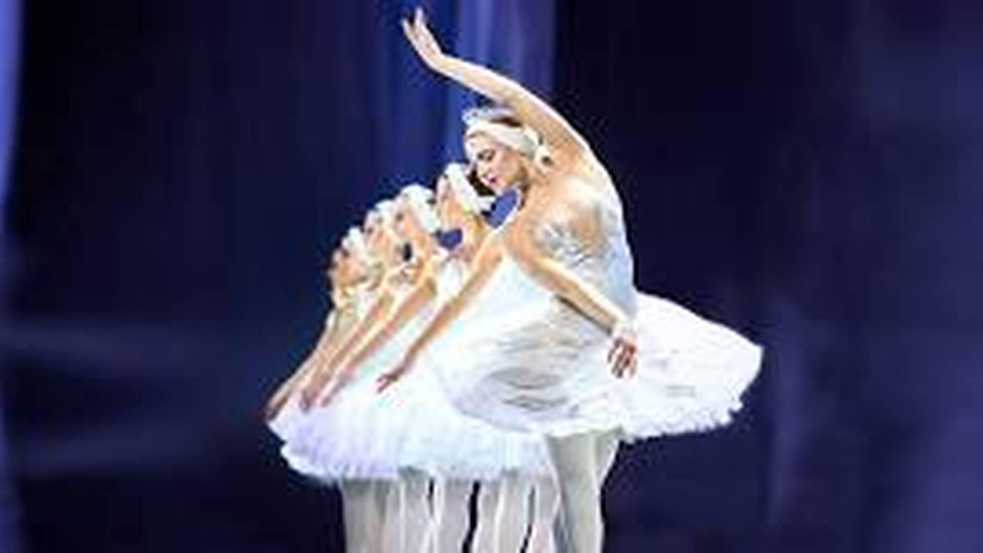 Varna Ballet - Swan Lake photo
