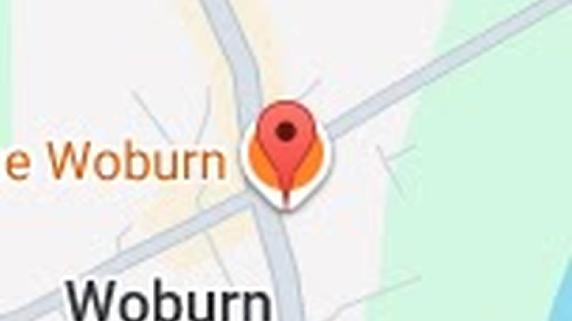 Elvis live for Kids in Mind at the Woburn Hotel photo