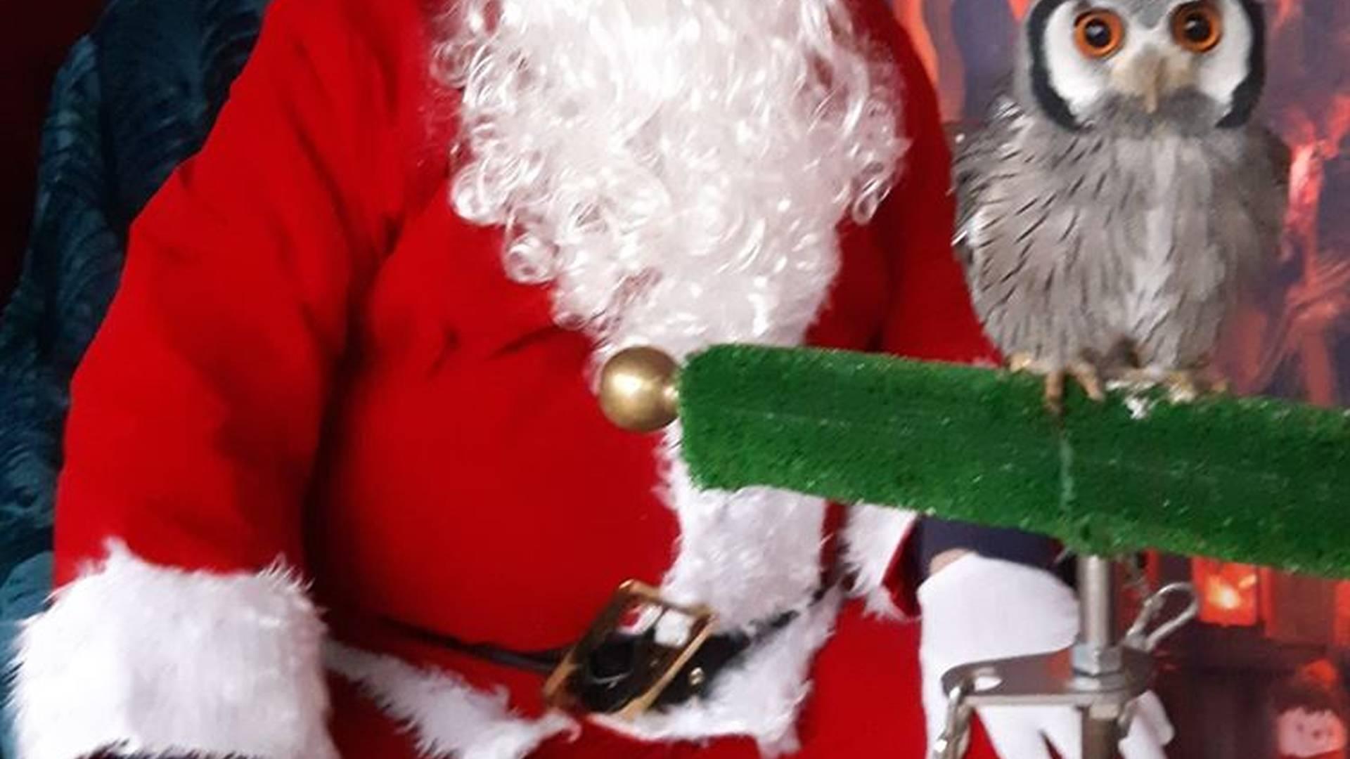 Jambs Santa Cl-owls Experience photo