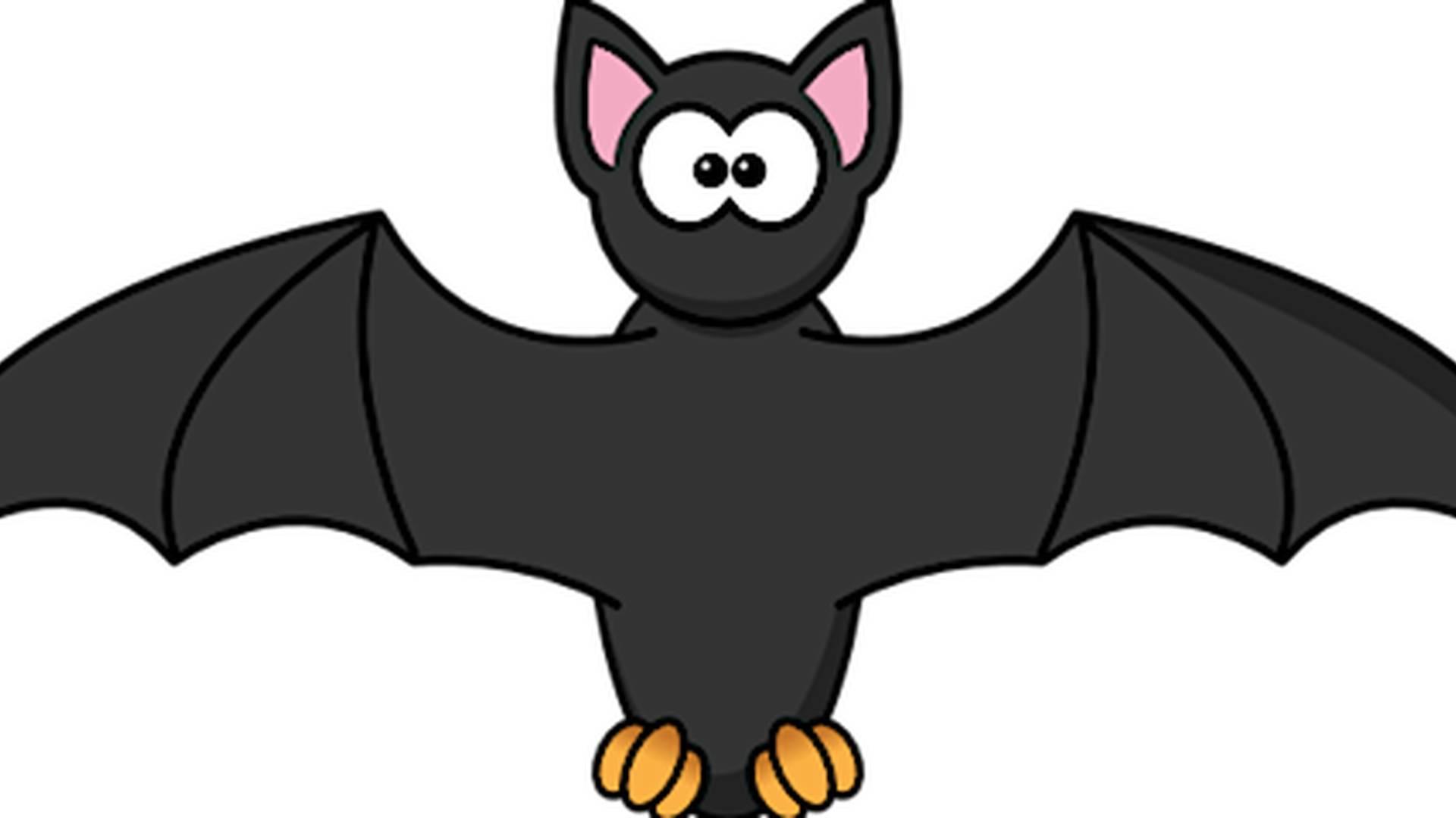 Bats of Stoke Park photo