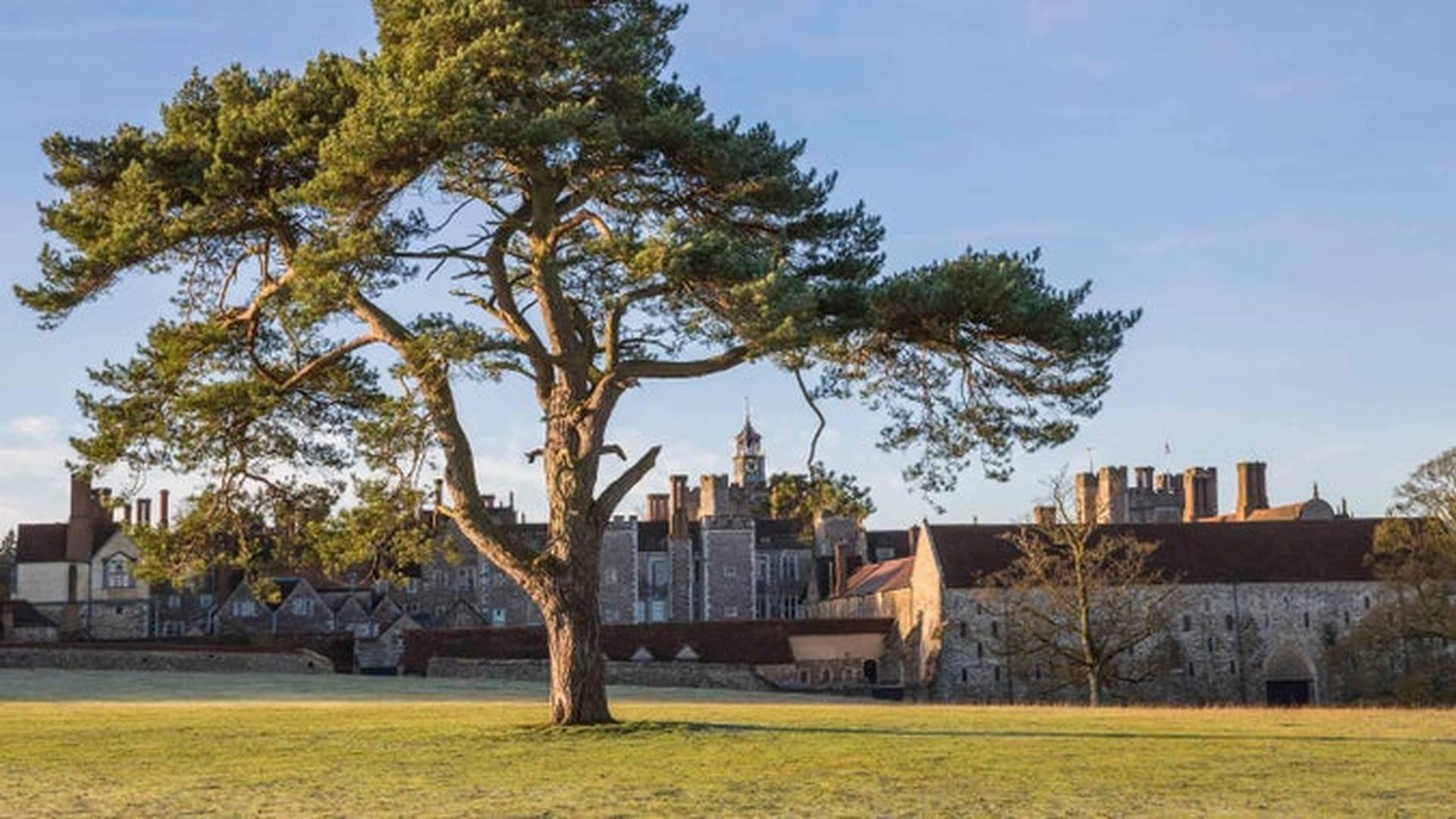 Knole Fawns toddler group photo