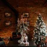 Activity image