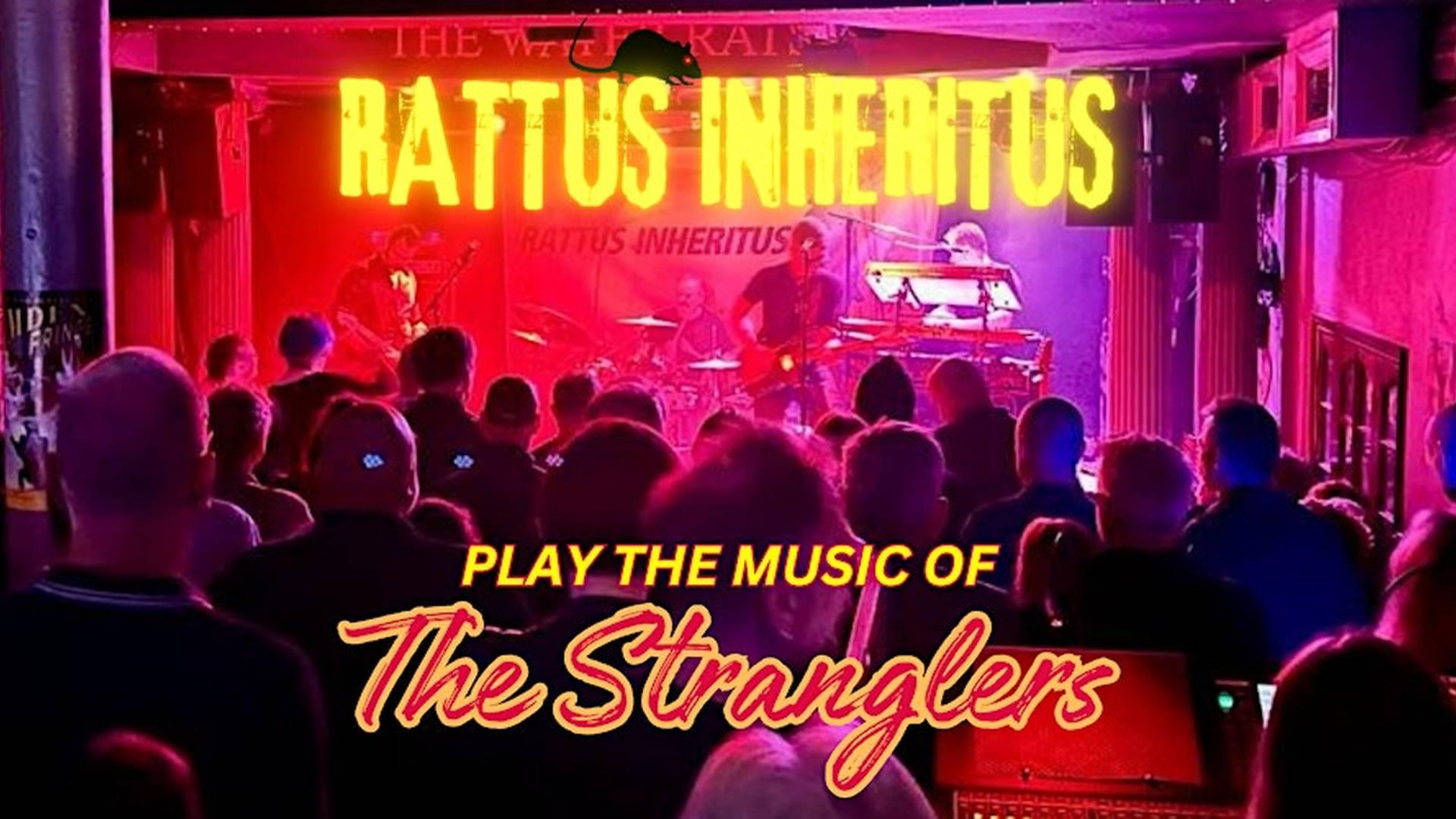 Rattus Inheritus - Stranglers Tribute photo