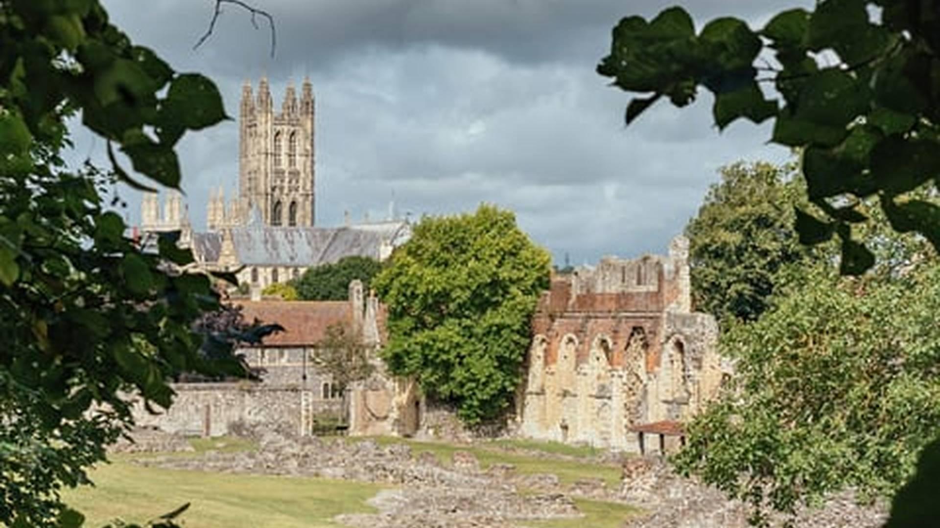 Members' Week: photo