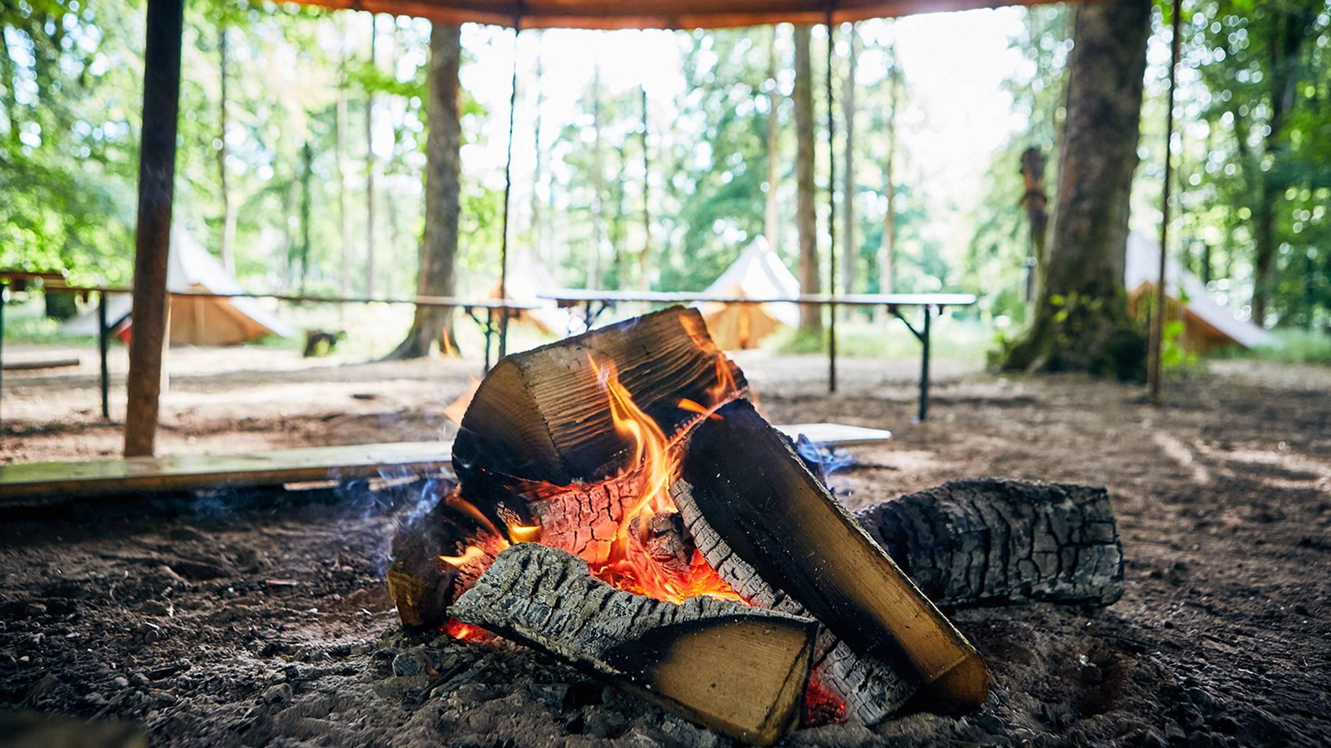 Camp Wilderness - 3 Day Explorer photo