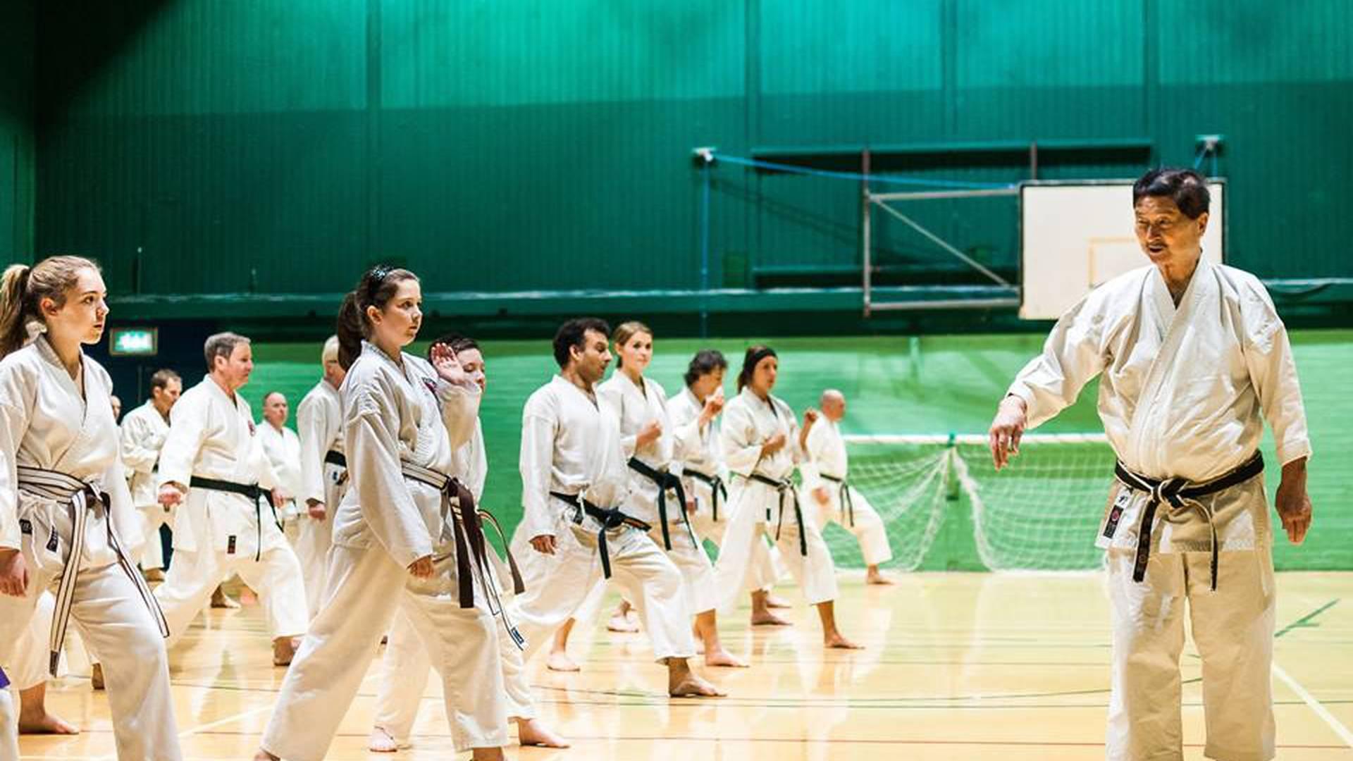Chilwell Olympia Karate School photo
