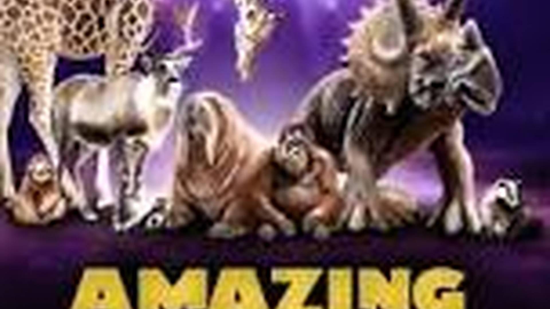 Amazing Animals photo
