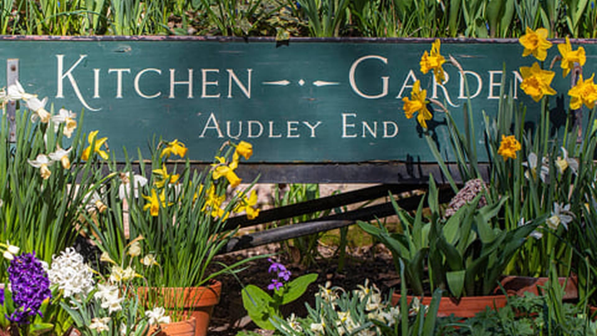 Members' Week: photo