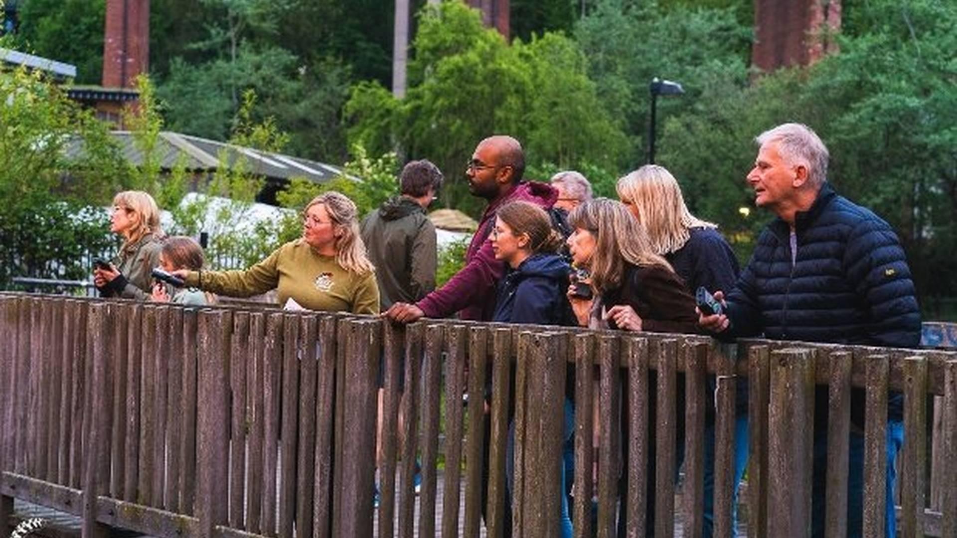 Ouseburn Bat Safari photo