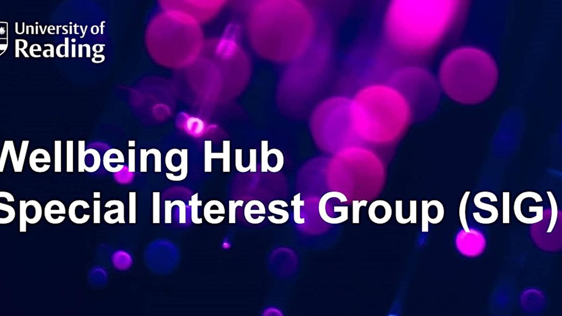 CfA Wellbeing Hub Practitioner Special Interest Group –13th November 2025 photo