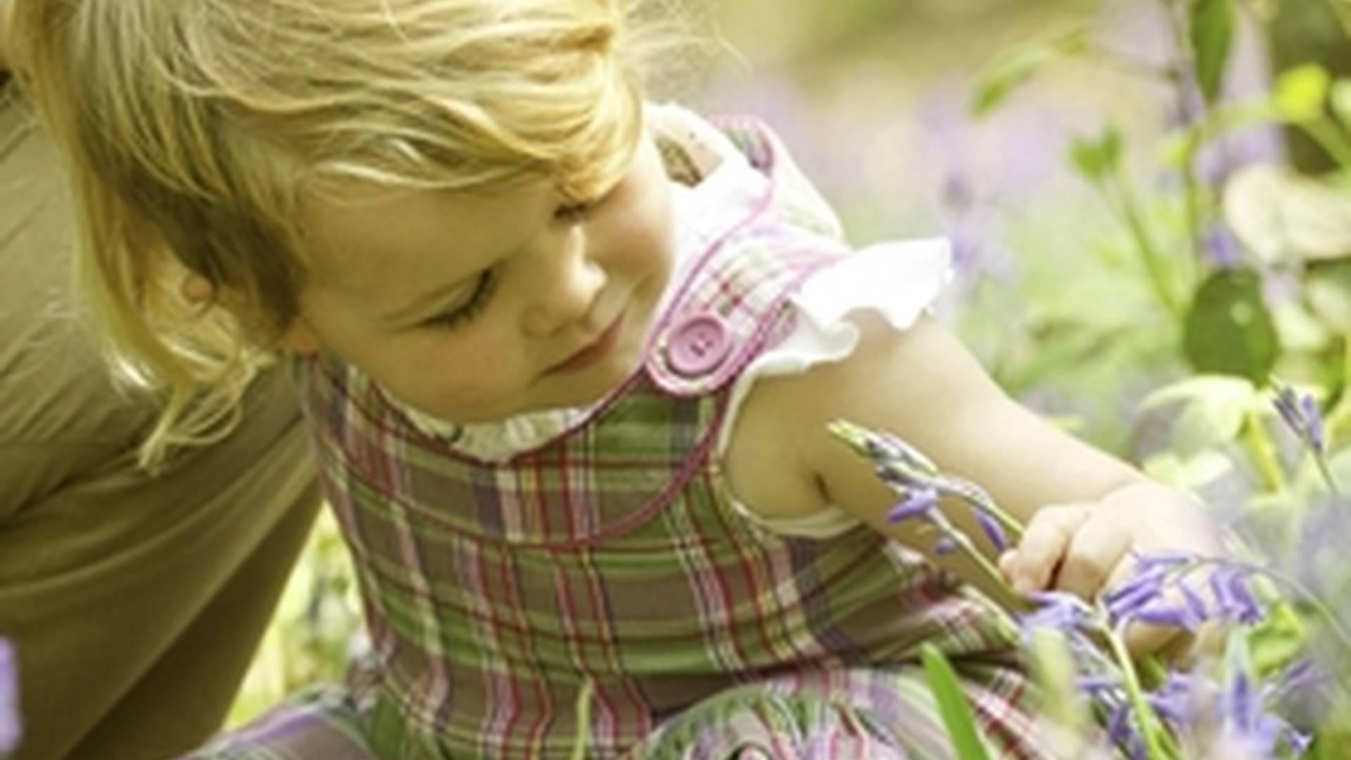 Nature Tots - Sevenoaks - Friday morning session photo