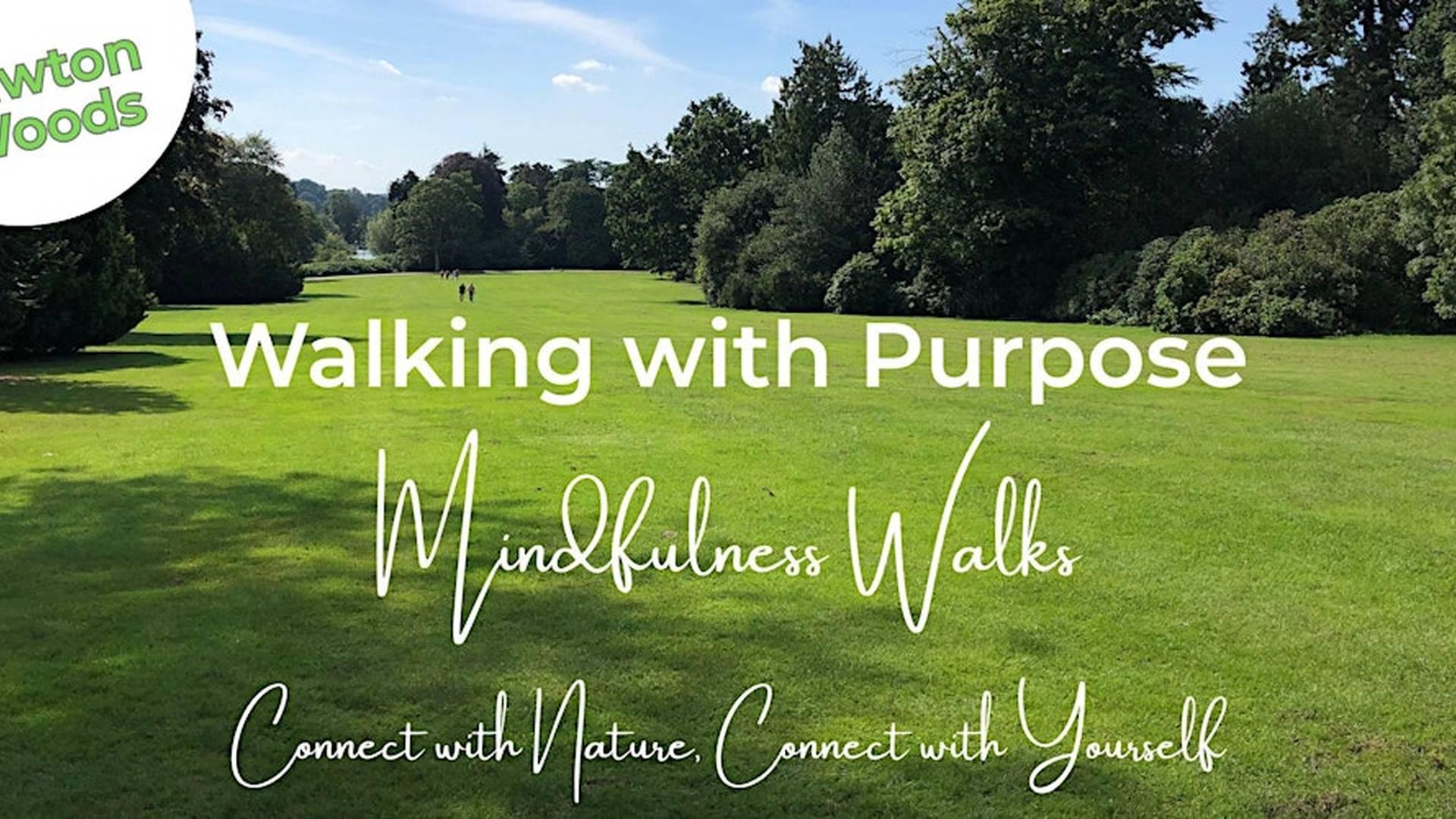 Walking with Purpose Mindful Walks Cheshire & Staffs Moorlands-Lawton Woods photo