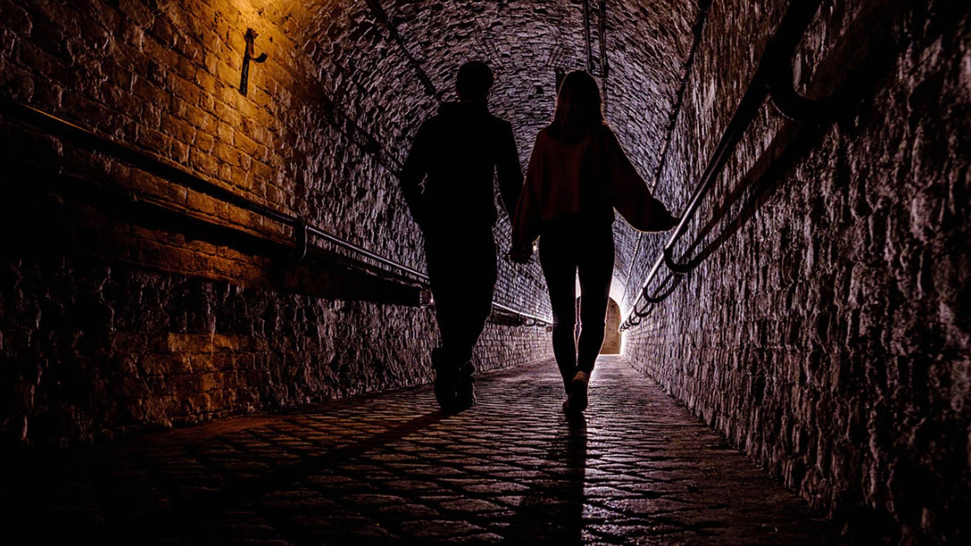 Dumpy Level Tunnel Tour photo