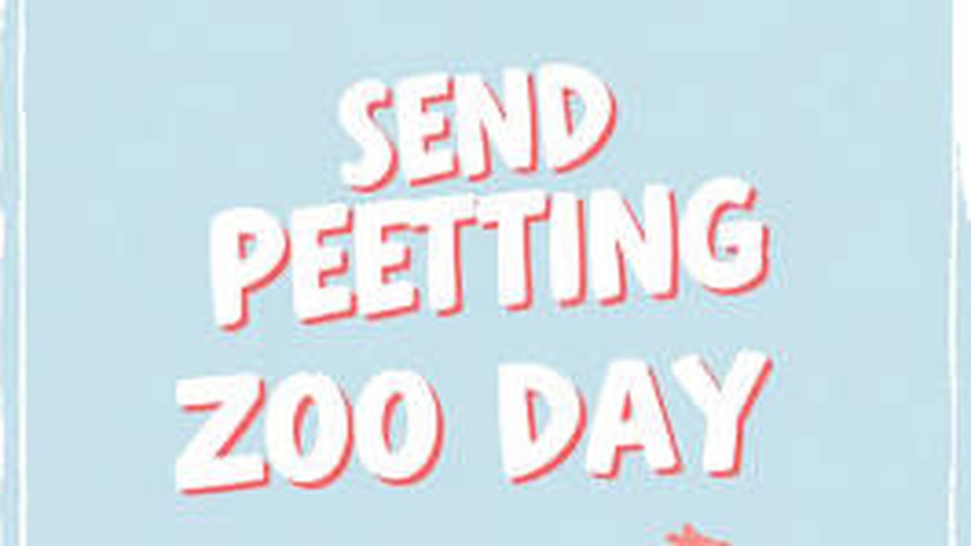 Down at the Farm – SEND Petting Zoo Day photo