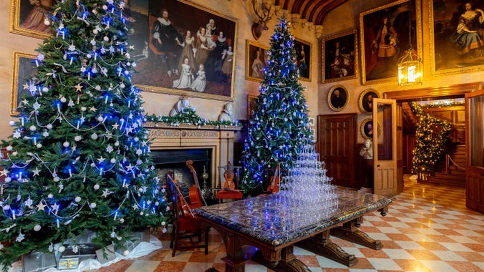 Charlecote's Winter Tree Walk photo