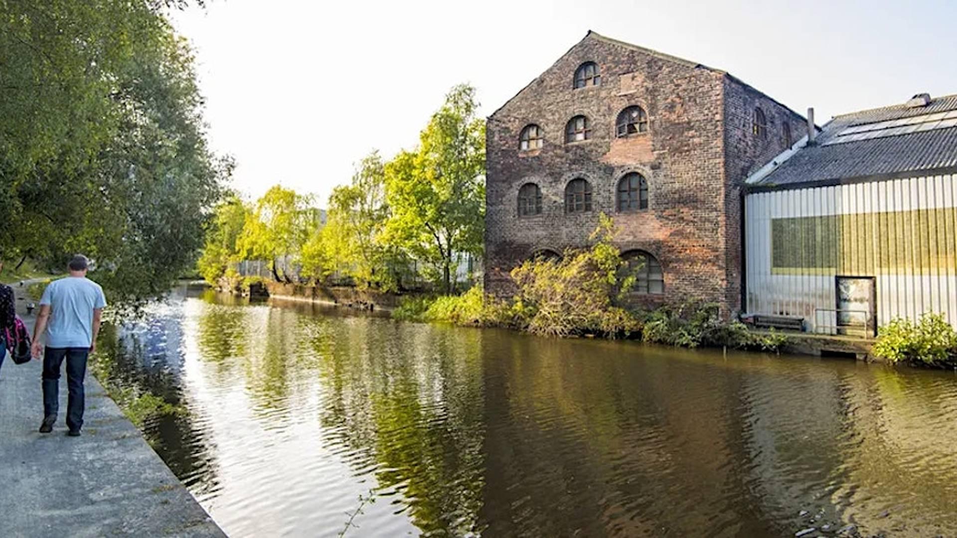 Let's Walk -Sheffield Wellness Walks photo