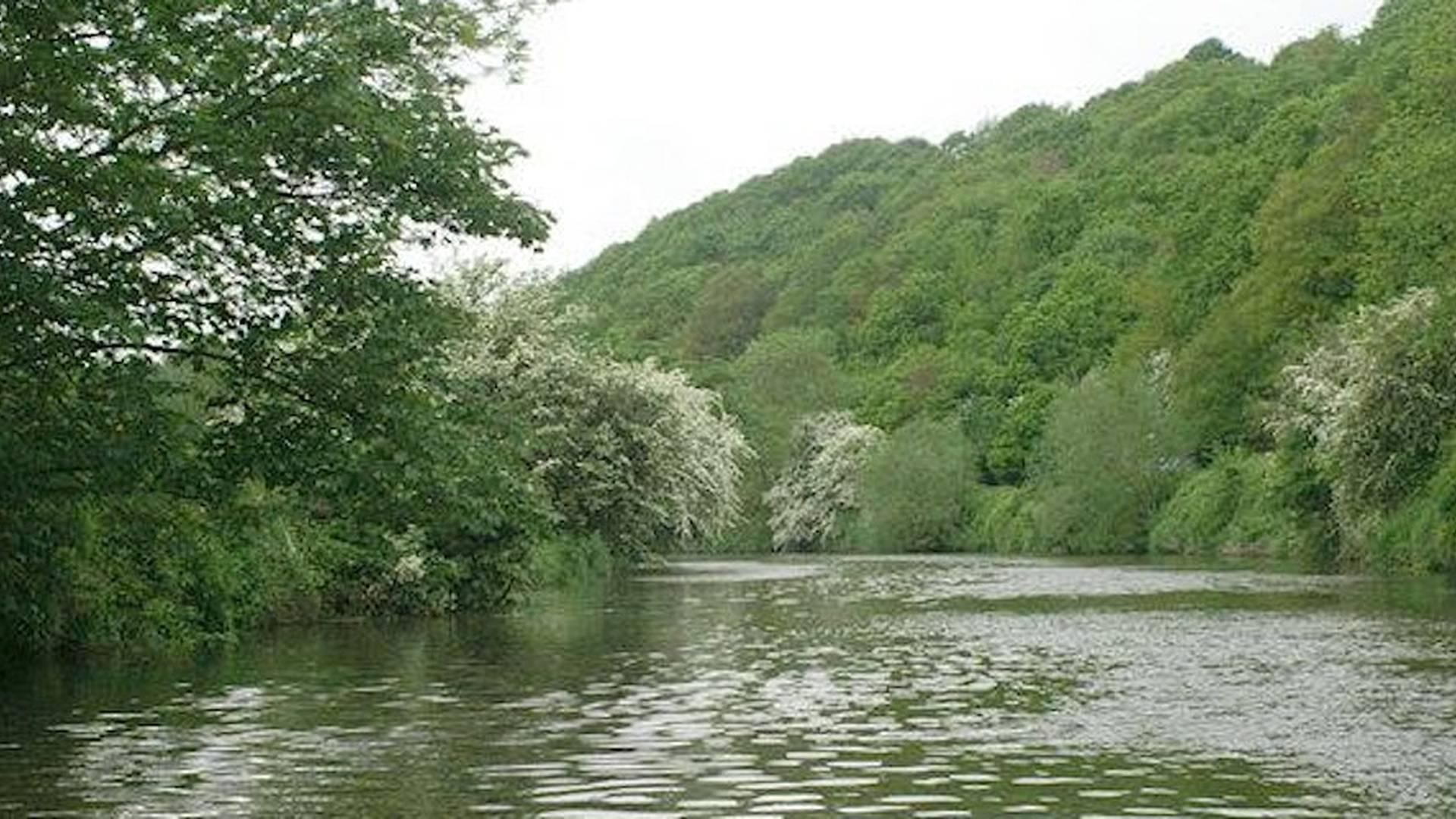 Conham River Forage Course photo
