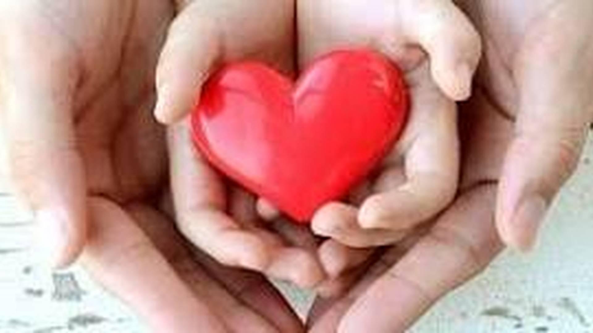 NI BabyHearts 2 Family Appreciation Day photo