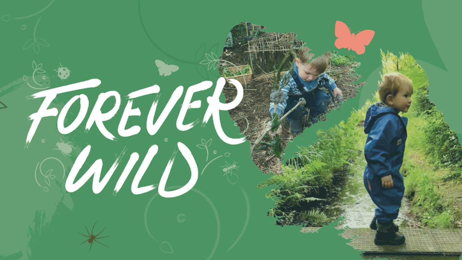 Forever Wild Forest School Ltd photo