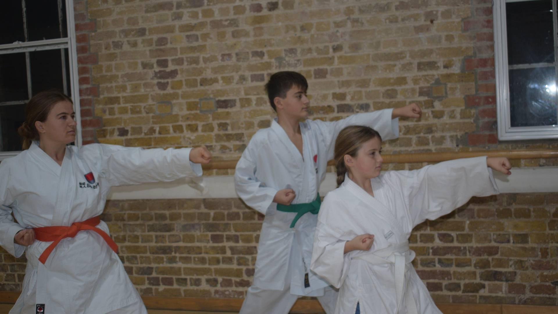 Dynamic Karate photo