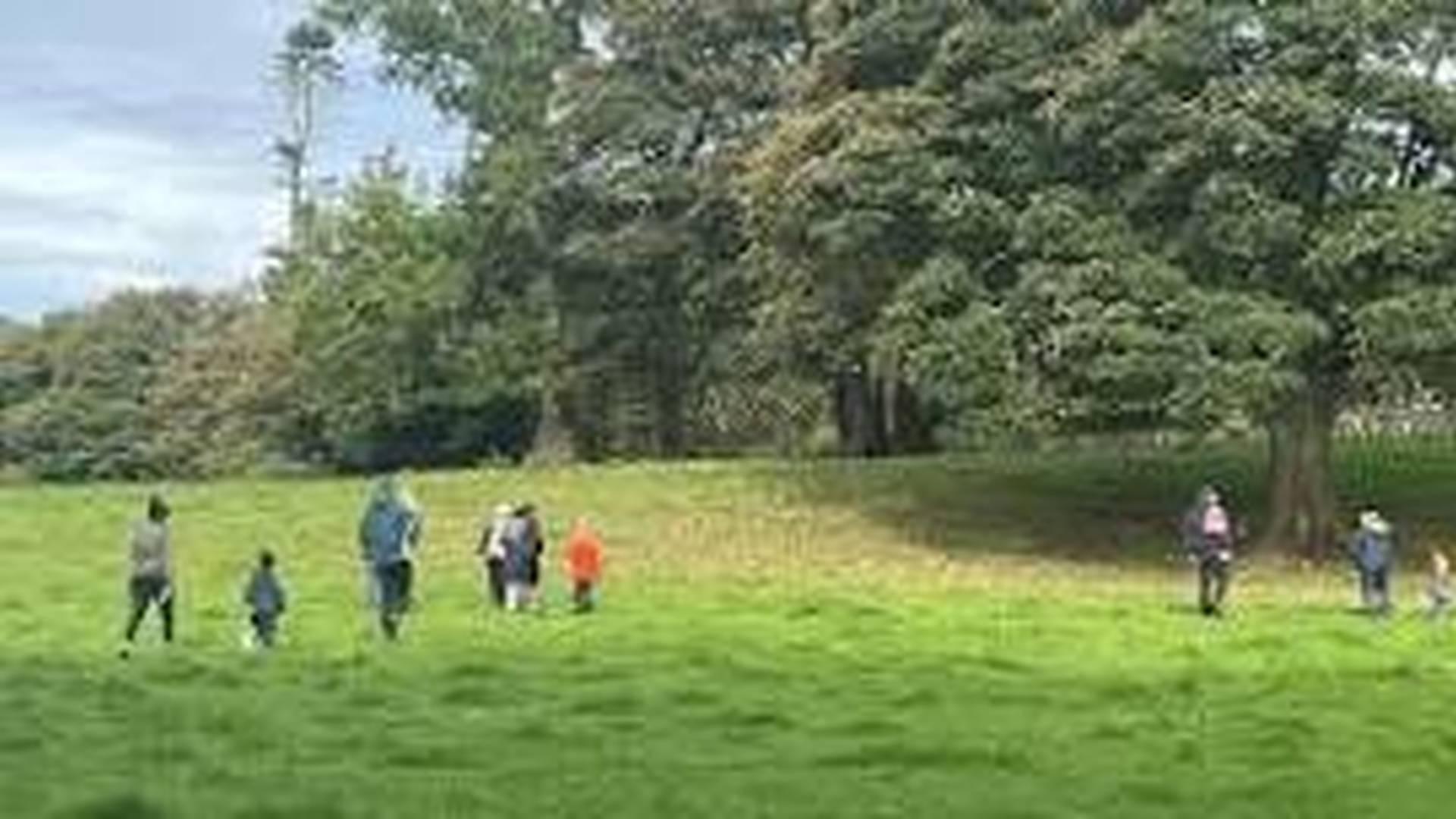 Bushcraft Family Fun (all ages) photo