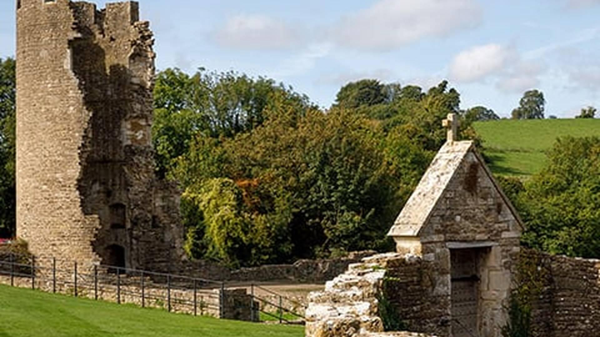 Members' Week: photo