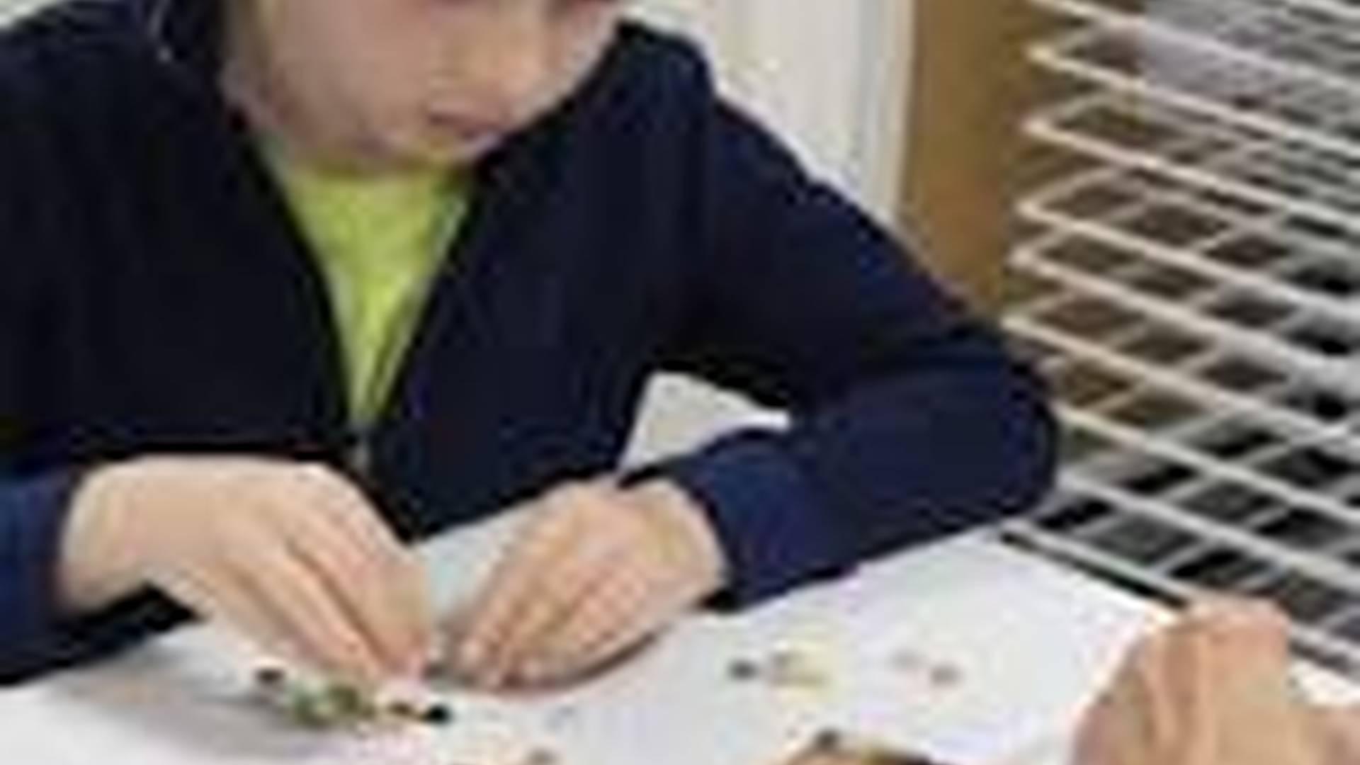 Summer Holiday Family Activity: Make a Mosaic Mirror photo