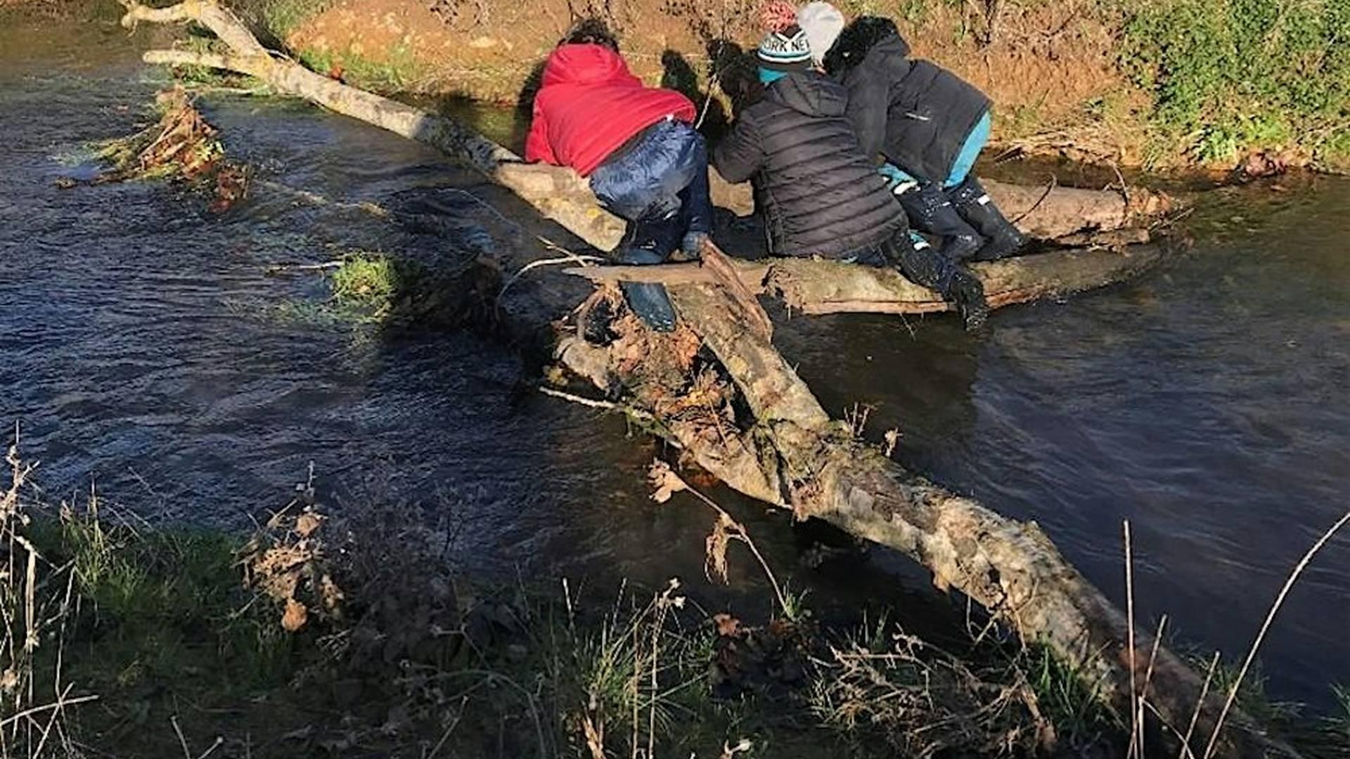 BE Wild School Sessions 2025-2026 photo