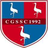 Crawley Green Youth FC logo