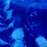 Activity image