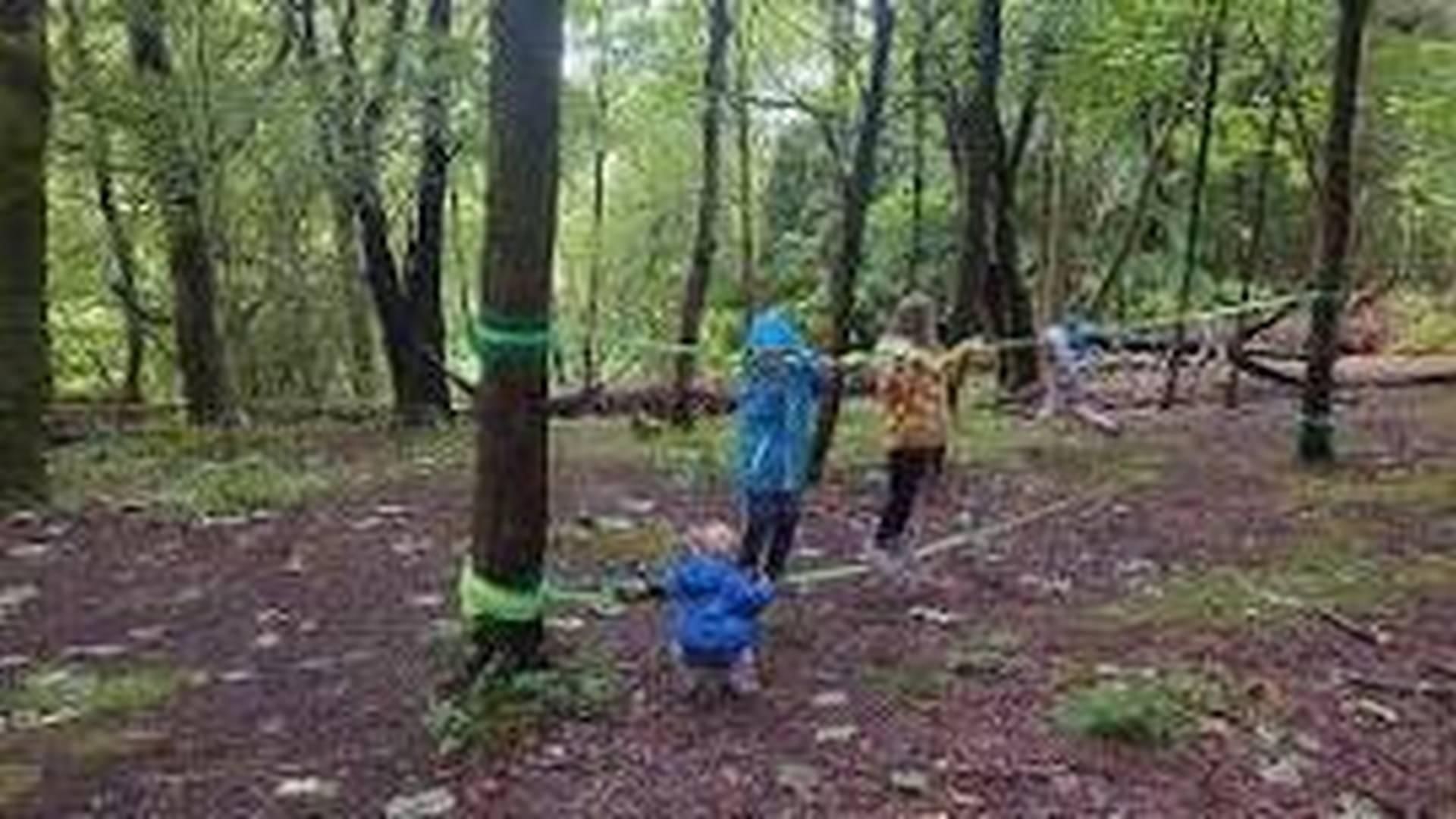 Free - Forest Friday Wellbeing session photo