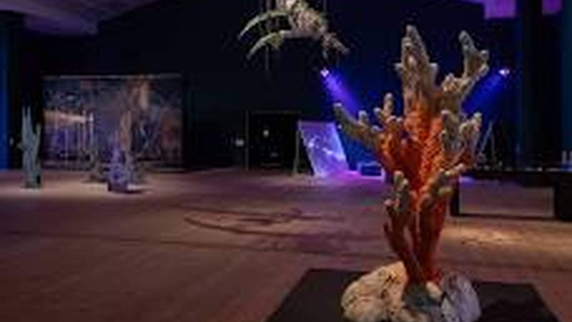 Big Days Out: Underwater Worlds photo