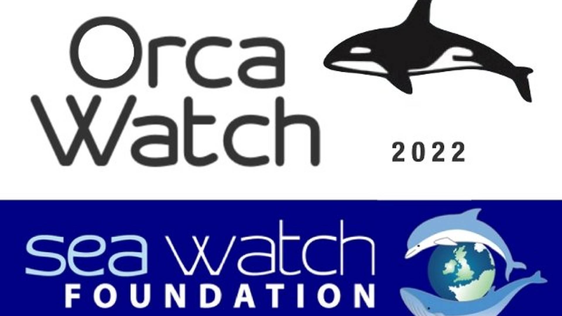 Orca Watch photo