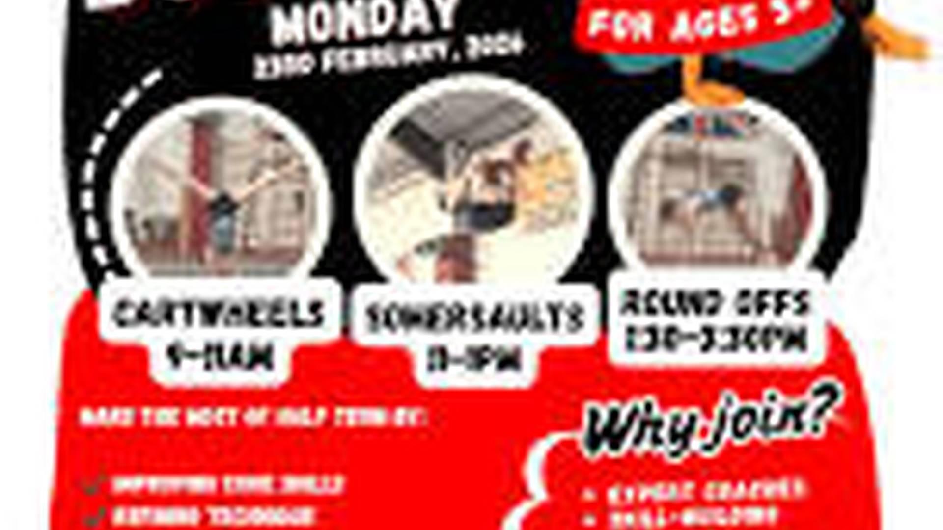 Bootcamp - Somersaults photo